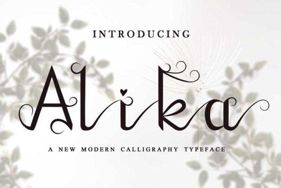 Alika Font: Elevating Campaigns with Modern Script Style