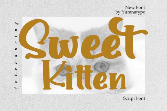 Sweet Kitten: A Stylish Handwritten Typeface for Editorial Design